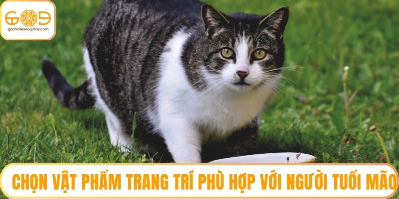 Chọn vật phẩm trang trí phù hợp với người tuổi Mão