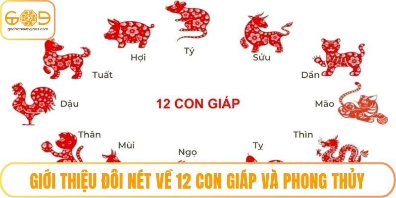 Giới thiệu đôi nét về 12 con giáp và phong thủy