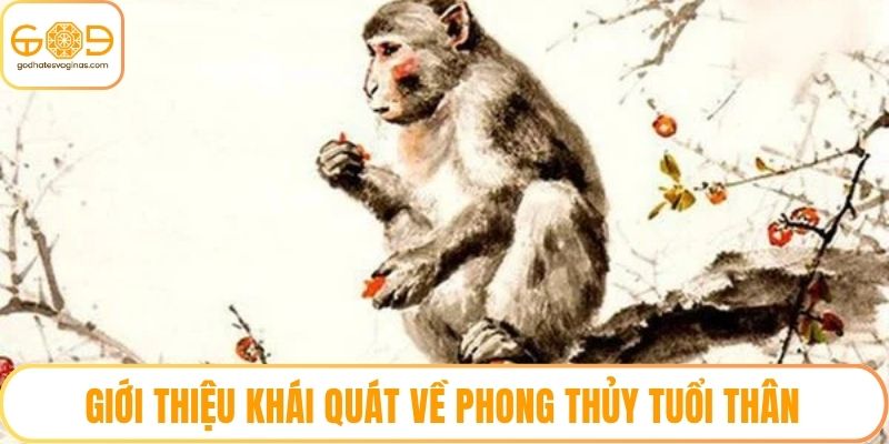 Giới thiệu khái quát về phong thủy tuổi Thân