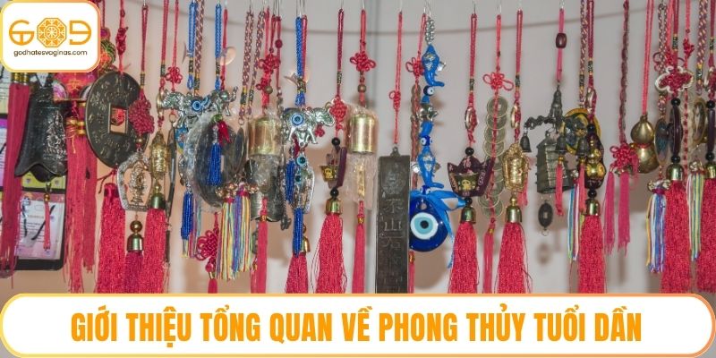 Giới thiệu tổng quan về phong thủy tuổi Dần