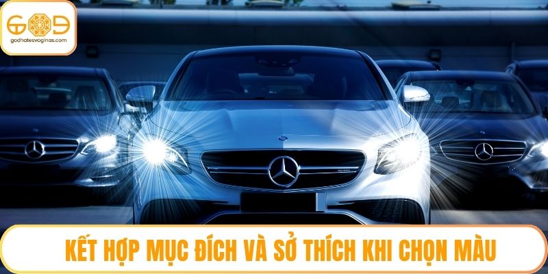 Kết hợp mục đích và sở thích khi chọn màu