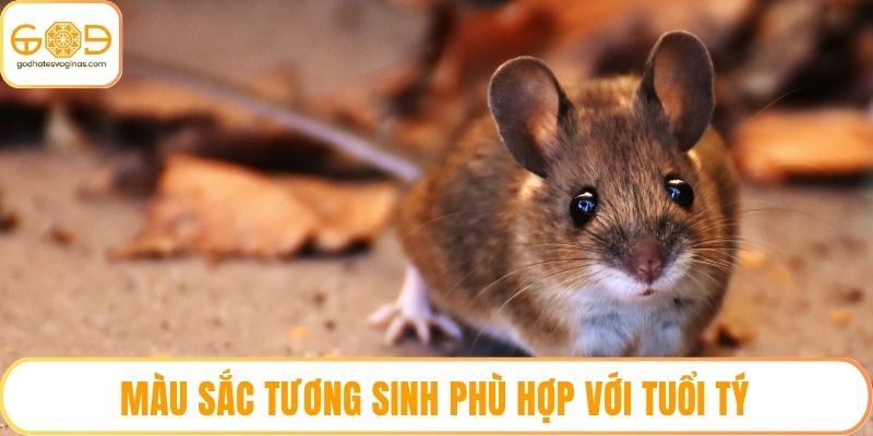 Màu sắc tương sinh phù hợp với tuổi Tý