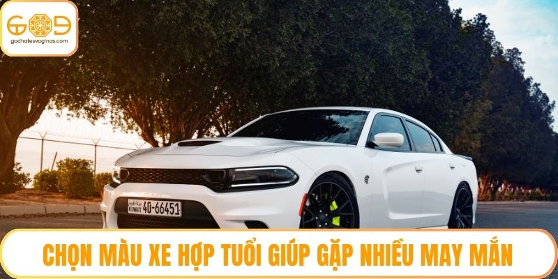 Chọn Màu Xe Hợp Tuổi Giúp Gặp Nhiều May Mắn Trên Mọi Hành Trình
