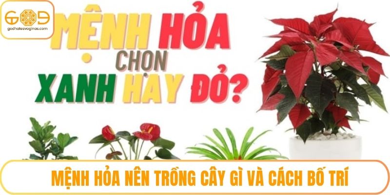 Mệnh Hỏa nên trồng cây gì và cách bố trí