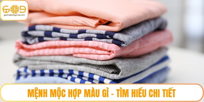 Mệnh mộc hợp màu gì - Tìm hiểu chi tiết