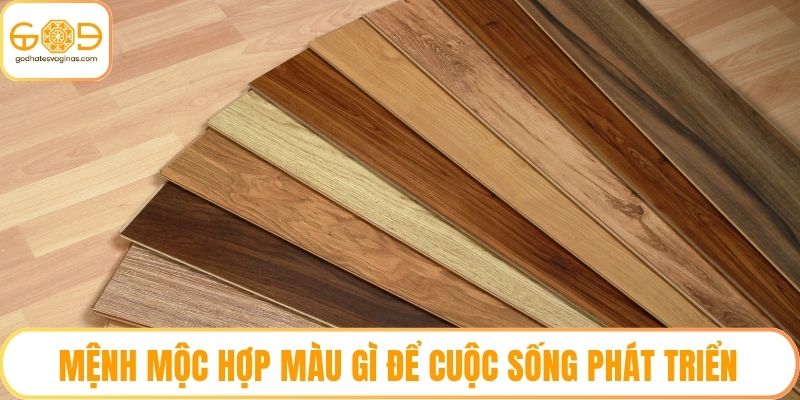 Mệnh Mộc Hợp Màu Gì Để Cuộc Sống Phát Triển - Bật Mí Ngay