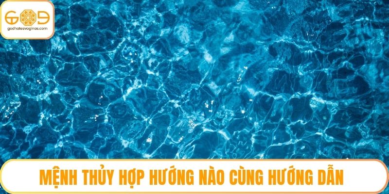 Mệnh Thủy Hợp Hướng Nào Cùng Hướng Dẫn Chọn Hướng Nhà Và Màu Sắc