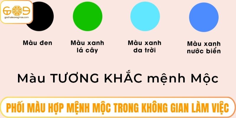 Phối màu hợp mệnh mộc trong không gian làm việc