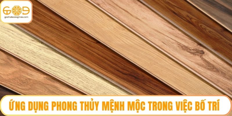 Ứng Dụng Phong Thủy Mệnh Mộc Trong Việc Bố Trí Nhà Ở