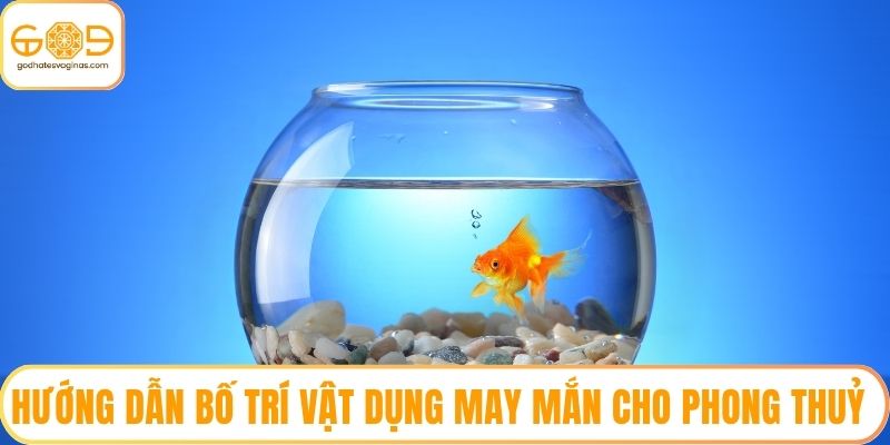 Hướng Dẫn Bố Trí Vật Dụng May Mắn Cho Phong Thuỷ Mệnh Thủy