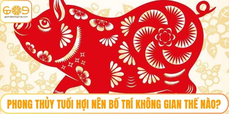 Phong Thủy Tuổi Hợi Nên Bố Trí Không Gian Thế Nào?