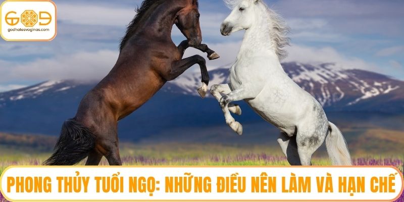 Phong Thủy Tuổi Ngọ: Những Điều Nên Làm Và Hạn Chế