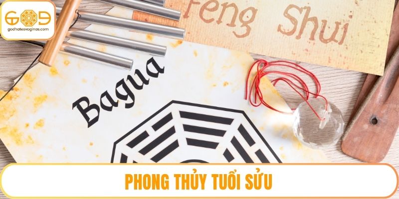 Phong Thủy Tuổi Sửu: Bí Quyết Giúp Cuộc Sống Thăng Hoa