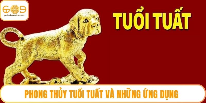 Phong Thủy Tuổi Tuất Và Những Ứng Dụng Trên Thực Tế