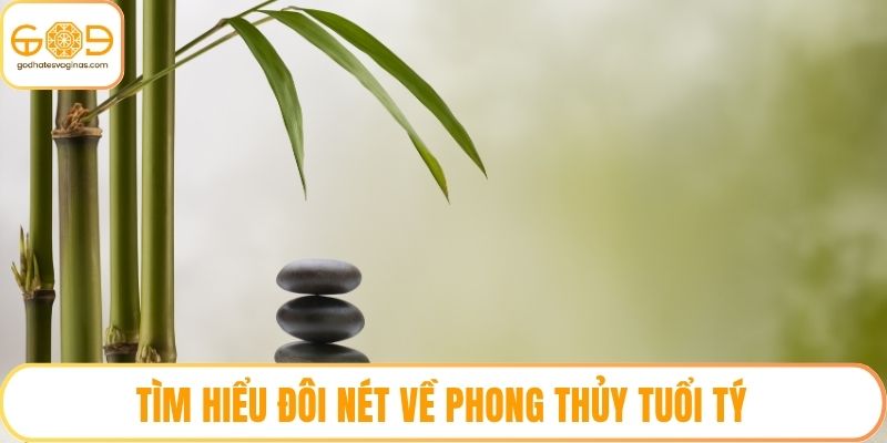 Tìm hiểu đôi nét về phong thủy tuổi tý