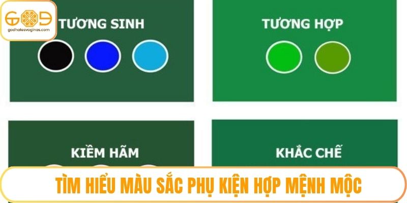 Tìm hiểu màu sắc phụ kiện hợp mệnh mộc