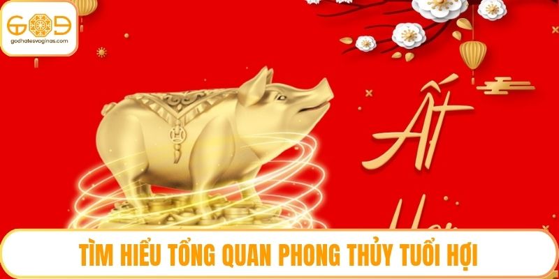 Tìm hiểu tổng quan phong thủy tuổi hợi