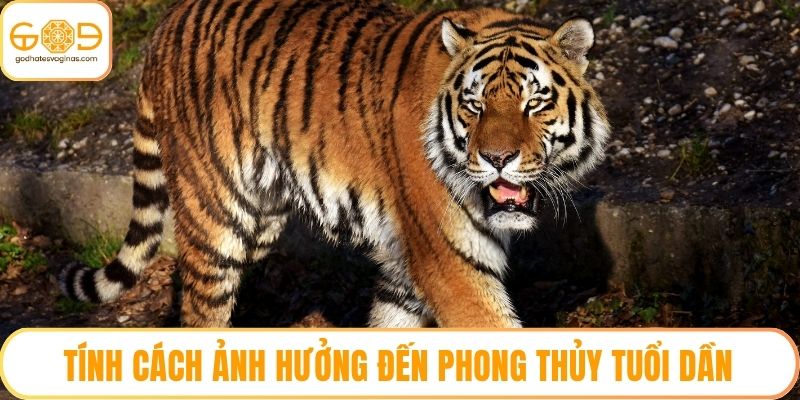 Tính cách ảnh hưởng đến phong thủy tuổi Dần