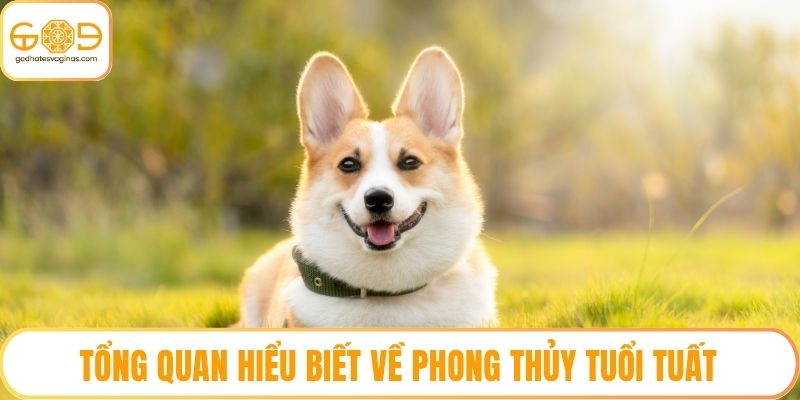 Tổng quan hiểu biết về phong thủy tuổi tuất