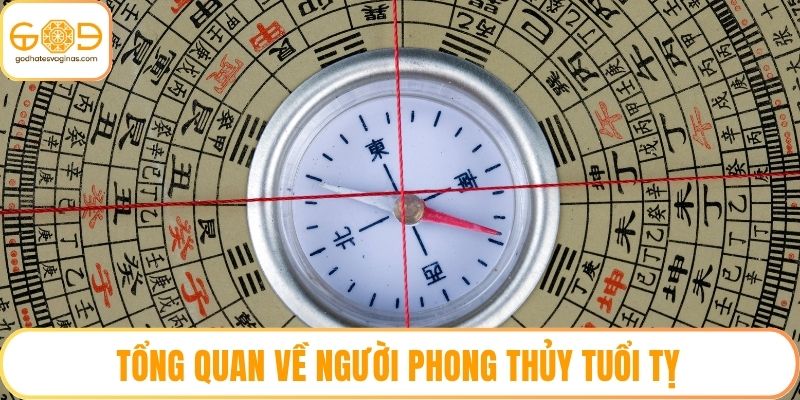 Tổng quan về người phong thủy tuổi Tỵ
