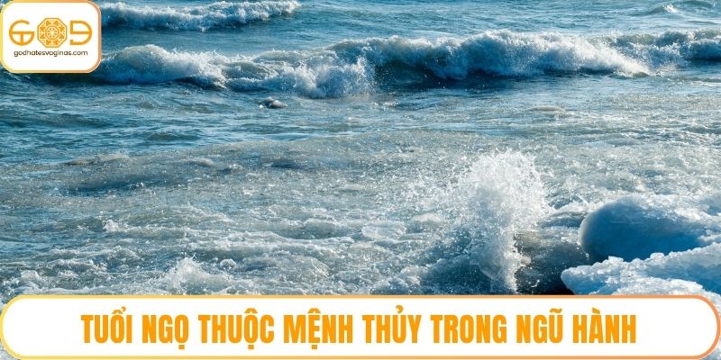 Tuổi Ngọ thuộc mệnh Thủy trong ngũ hành