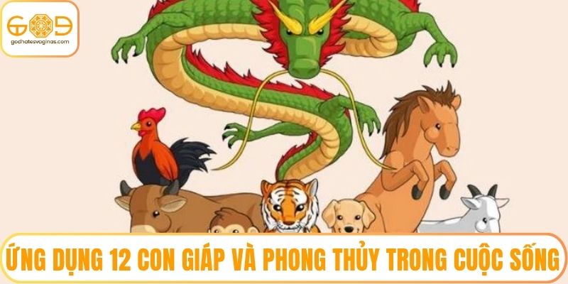 Ứng dụng 12 con giáp và phong thủy trong cuộc sống