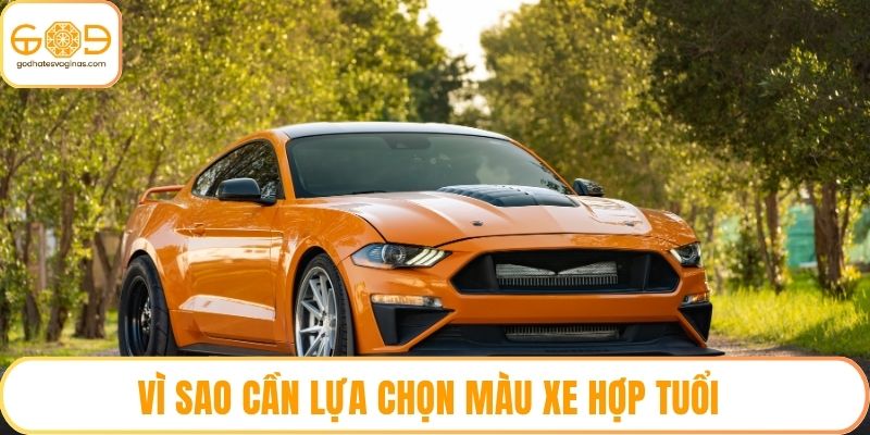 Vì sao cần lựa chọn màu xe hợp tuổi