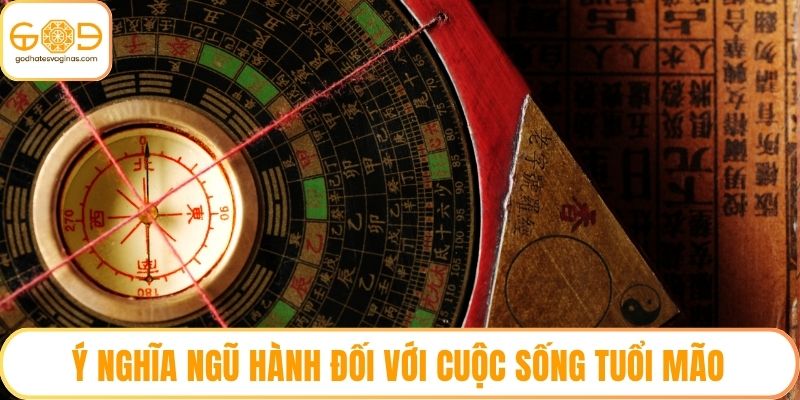 Ý nghĩa ngũ hành đối với cuộc sống tuổi Mão
